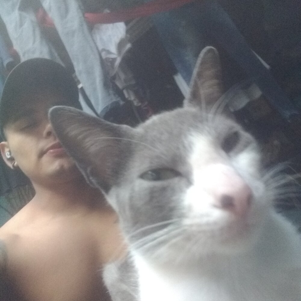 DavidEle06