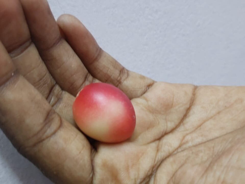 manojkumarmano