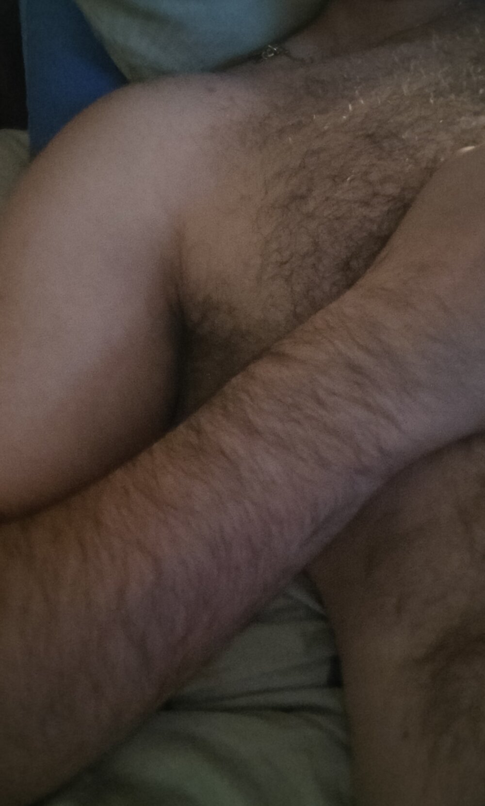 suli42